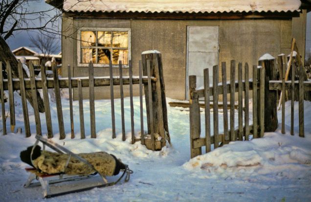 Svetlana's house small