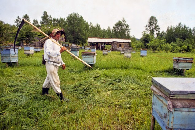 57403-HRSL-EdicandBees-002-1486-2-Edit-Edit_edited-1