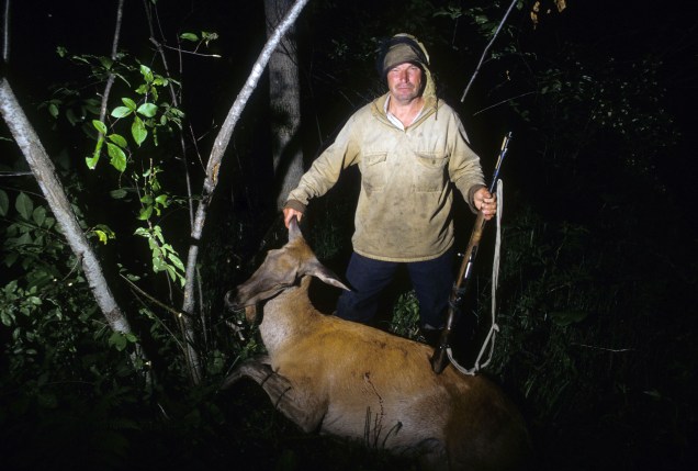 57403-SHOT DEER 2-017-1541